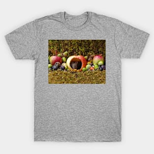 wild house mouse  in a apple T-Shirt